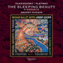 Tchaikovsky: The Sleeping Beauty Concert Suite (Arr. Pletnev for Piano) : IV. Andante