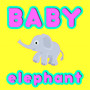 Baby Elephant