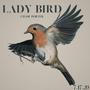 Lady Bird