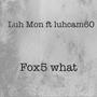 Fox5 What (feat. Luh Mon) [Explicit]