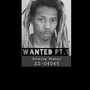 Wanted Pt. 1 (Explicit)