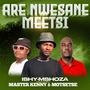 Are Nwesane Meetsi (feat. MASTER KENNY & MOTSETSE)