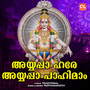 Ayyappa Hare Ayyappa Pahimam - Single