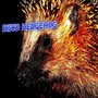 Disco Hedgehog