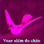 Voar Além Do Chão