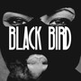 Black Bird (Explicit)