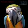 Personality of a Parrot (feat. Brett Hirst & Simon Barker)