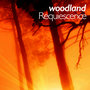 Woodland Requiescence