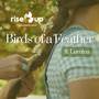 Birds of a Feather