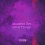 Little Things (Slowed) [Explicit]