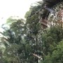 eu era um esboço (Explicit)