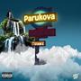 Parukova (feat. Ghxst.Nxte) [Explicit]