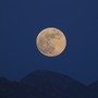 Dream Sounds: Relaxing Music for Restful Evenings