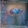 Now Flightless Wings (From Secret of Mana) (Theology vs. Stemage Remix)