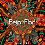 Beija-Flor