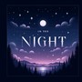 In the Night (Explicit)