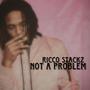 Not a Problem (Explicit)