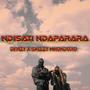 Ndisati Ndaparara (feat. Denzy) [Explicit]