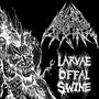 Larvae Offal Swine