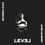 Level