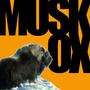 Musk OX