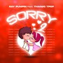 Sorry, Pt. 2 (Explicit)