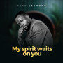 My Spirit Waits On You