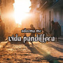 Vida Pandillera (Explicit)