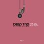 Deep Trip, Vol. 4 (25 Deep House Grooves)