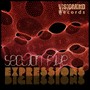 Expressions / Digressions EP