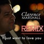 I Just Want to Love You (Remix)