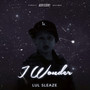 I Wonder (Explicit)