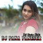 Dj Pana Paneser