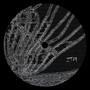 Backscatter