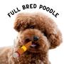 Full Bred Poodle (Explicit)