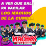 Pa´ Vacilar: Los Machos de La Cumbia