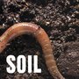 SOiL