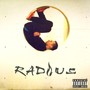 Radius