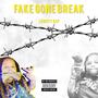 Fake Gone Break (Explicit)