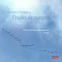 Études de nuages (Dubbing)