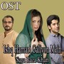 Ishq Hamari Galiyon Mein (From 