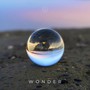 Wonder