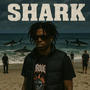 Shark (Explicit)