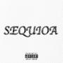 SEQUIOA (Explicit)