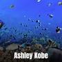 Ashley Kobe