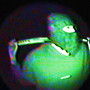 Mam Talent i Go Nie Zmarnuje (Explicit)