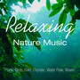 Relaxing Nature Music - Piano, Birds, Rain, Thunder, Water Flow, Waves for Sleep, Studying, Spa, Meditation, and Relaxation