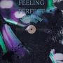 Feeling Perfect (Explicit)