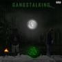 GANGSTALKING (feat. Soul Of Lotus) [Explicit]