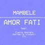 AMOR FATI (feat. Raffaello Visconti, Pierre Spataro & Mr. ZiL)